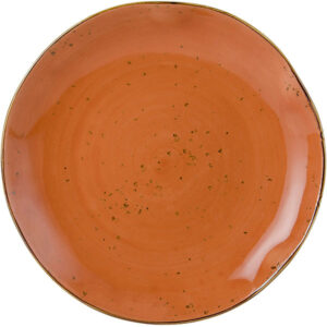Tuxton GGC-006 TuxTrendz Artisan Geode Coral 10 1/4 pg China Plate - 12/caja