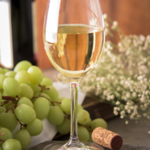 COPA VINO ALTA 8 OZ PLASTICO (COMPRA MIN 24 PIEZAS)