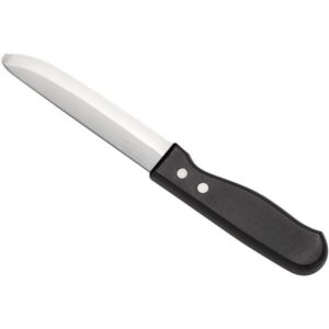 CUCHILLO FILETERO 5 PG MANGO NEGRO ECO (PRECIO POR 12 PIEZAS)